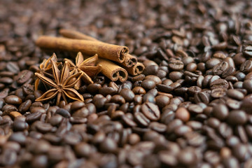 Obraz na płótnie Canvas Coffee beans, star anise and cinnamon sticks. Close up 