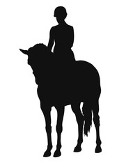 A silhouette of a rider and the horse stand still.