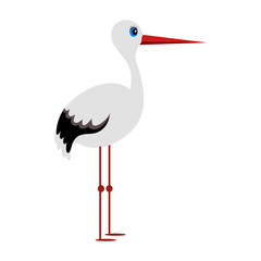 Stork. Isolated on white background, standing stork. Vector illustration. EPS 10.