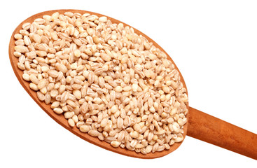 PEARL BARLEY CUT OUT