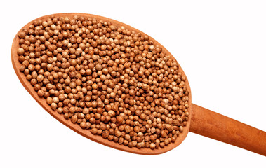 CORIANDER SEEDS CUT OUT