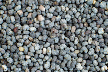 Poppy seeds are shot in close-up.Abstract background.Top view