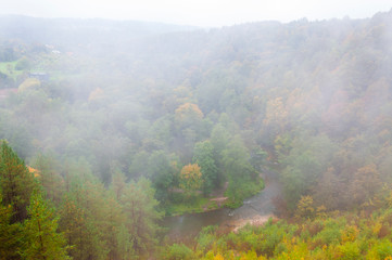 Forest river landscape draped in fog at autumn