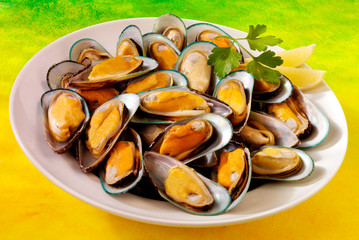 NEW ZEALAND GREEN MUSSELS