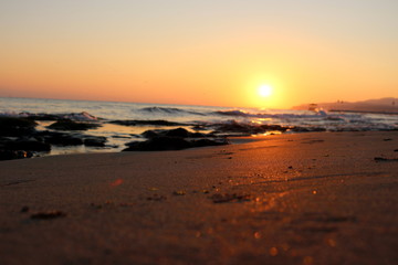 Fototapeta na wymiar Sunset sea plant sand sunrise