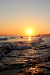 Sunset sea plant sand sunrise