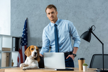 young businessman touching beagle at table with laptop and disposable coffee cup in modern office