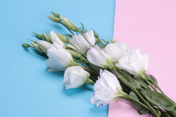 Beautiful white flowers. bouquet of eustoma. on colorful bright paper background.