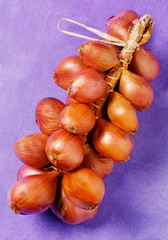 STRING OF SHALLOT ONIONS ON PURPLE