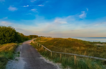 A beautiful landscape view of a wooden, sand covered walkway with handrail, a bench and shrubs along the grass covered dunes at the Baltic Sea on Fehmarn island in Germany under a blue sky at dusk.