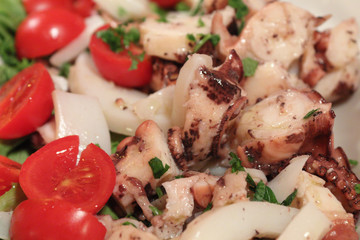 A close view of a cooked octopus salad, with parsley, tomatoes and lettuce, dressed with virgin olive oil, a typical dish of Italian cuisine