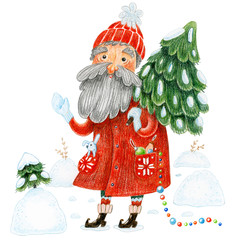 Santa Claus with fir tree in snowy forest. Hand drawn watercolor illustration. Christmas and New Year character isolated on white background. - 232091156