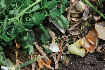 Komposthaufen mit verschiedenen Bioabfällen im Garten