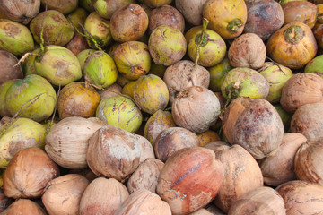 Coconut is prepared for coconut milk.