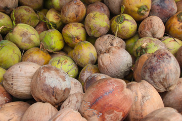Coconut is prepared for coconut milk.