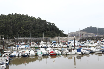 Fototapeta na wymiar The Plentzia port with many boats floating on a muddy brown sea water with hills on the background during a cold cloudy winter day