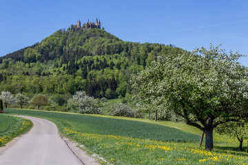 Hohenzollern Castle, Germany	