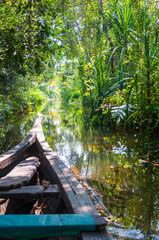 Traditional boat of Kerala Backwaters floats through the jungle
