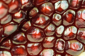 pomegranate close up
