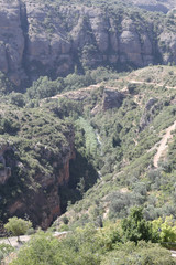 A landscape of the Vero river canyon, with pine trees mountains and steep cliffs, during a sunny summer day in the rural town of Alquezar, Spain