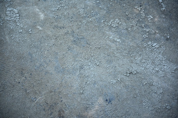 Rhinoceros skin texture