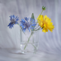 canvas-still-life_022
