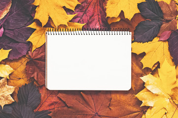 Naklejka na ściany i meble White notebook on a background of autumn leaves