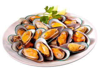 NEW ZEALAND GREEN MUSSELS CUT OUT