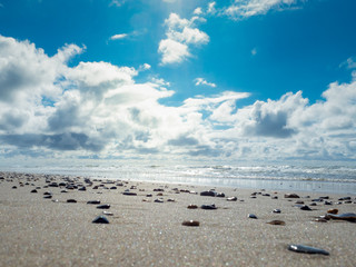 Fototapeta na wymiar Steine am Strand mit dramatischen Wolken 
