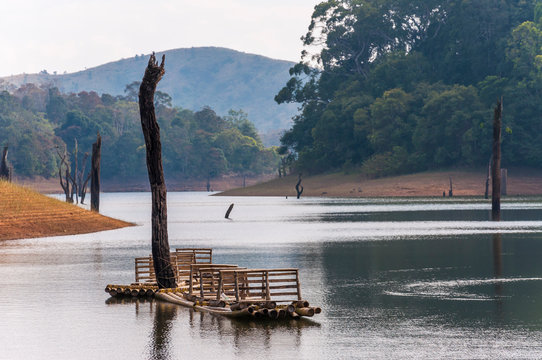 Scenic waterscape with bamboo raft in Periyar National Park, India.
