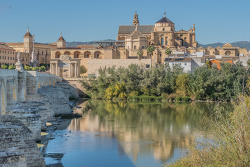 Fototapeta premium Mosquée Cathédrale de Cordoue en Andalousie 