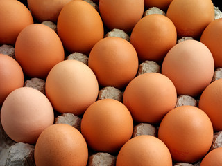BROWN EGGS IN TRAY