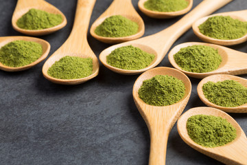 Moringa nutritional plant - Moringa oleifera. Text space