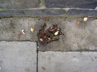 hand print in concrete