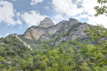 A landscape the Cañon de Añisclo valley and massifs, with high rocky mountains, green forests and blue sky, in the Pyrenees, Aragon, Spain