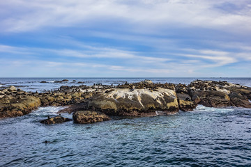 View of Duiker Island or Duikereiland (Afrikaans), also known as Seal Island in Hout Bay near Cape Town. Wild seals colony on Seal Island. South Africa. 