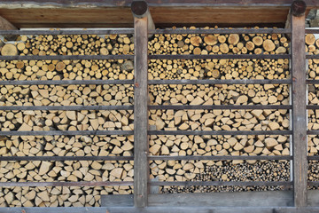 A batch of piled yellow and brown round firewood cut in regular logs and stored in woodshed