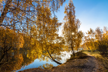 autumn morning  in the park