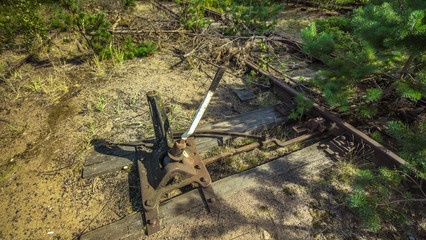 Empty and abandoned railway station with trees