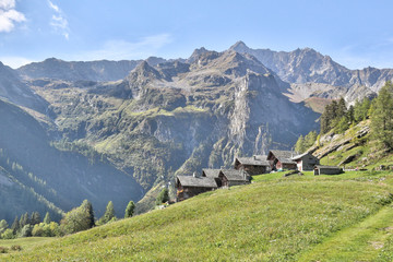 Fototapeta na wymiar The Walser town of Dorf, with wood and stone lodges, high mountains, forests and pastures, in summer, in Val d'Otro valley, Alps mountains, Italy