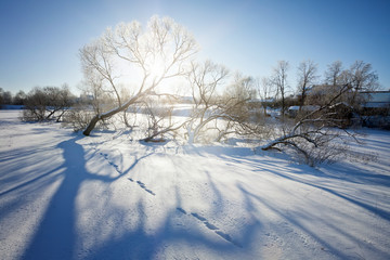 Fototapeta na wymiar Frost and the sun - day wonderful!