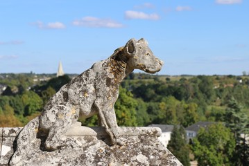 dog, sculpture, stone, statue, sitting, stairs, royal house, Château de Loches, castle, france, Loire valley, architecture, building, medieval, ancient, history,