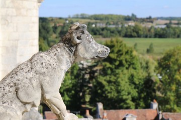 dog, sculpture, stone, statue, sitting, stairs, royal house, Ch&acirc;teau de Loches, castle, france, Loire valley, architecture, building, medieval, ancient, history,