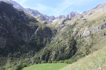 Naklejka premium A landscape of blue cloudy sky, high mountains, fir and pine tree forests and green pastures in Val d'Otro, Piedmont region, Alps mountains, Italy