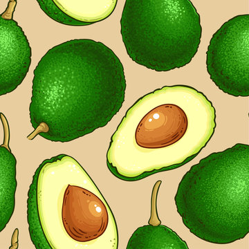 avocado vector pattern