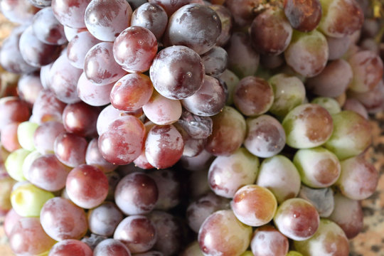 A Close View Of Some Red And Green Grapes Still On Its Stalk And Partially Covered With The Typical Pruinescence