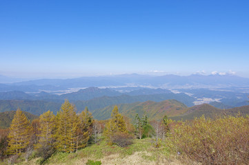 美ヶ原高原の紅葉