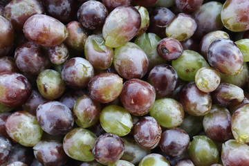A close view of red and green wet grapes without the stalks, exhibiting the typical pruinescence on their surface