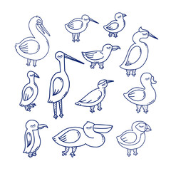 sea bird illustration.