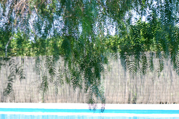 PARCELA CON PISCINA